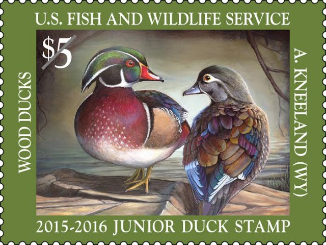 2016 Federal Junior Duck Stamp Judging