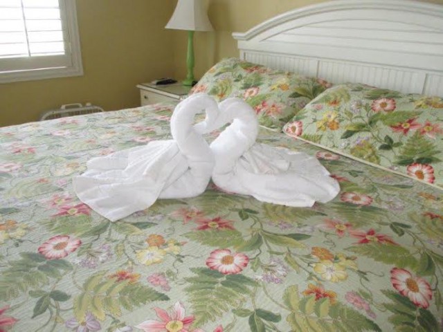 love swans out of towels
