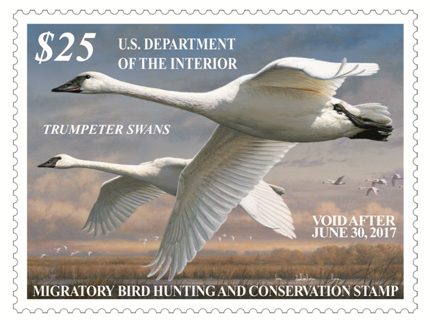 2016-2017-federal-duck-stamp